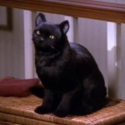 sdd2238's profile picture. 