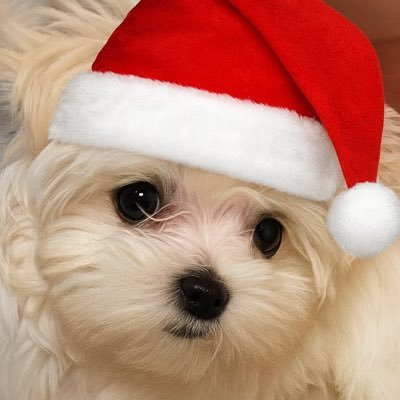 JJK58705787949's profile picture. 没有共产党才有新中国