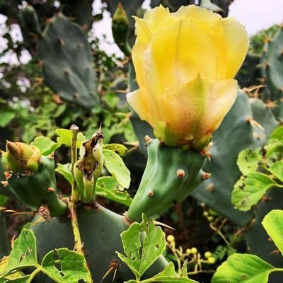 Rajamkumar1960's profile picture. திருமணம் ஆனவள்(56) என்னவர்க்கு(68) மகன், மகள் உண்டுNO/DM