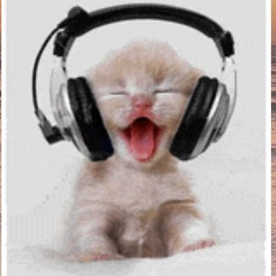 Gemzzz______'s profile picture. Azralph fanatic 🥳