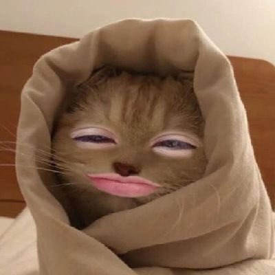 mssjell_31's profile picture. Proverbs 3:5-6🩵