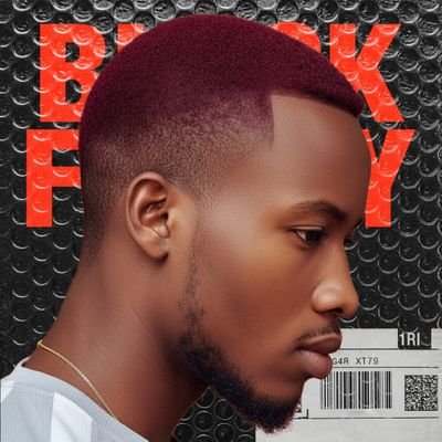 D_REAL_AI_GUY's profile picture. AI & data enthusiast turning complex tech into simple, impactful solutions from smart chatbots to ML tools that solve real-world problems.