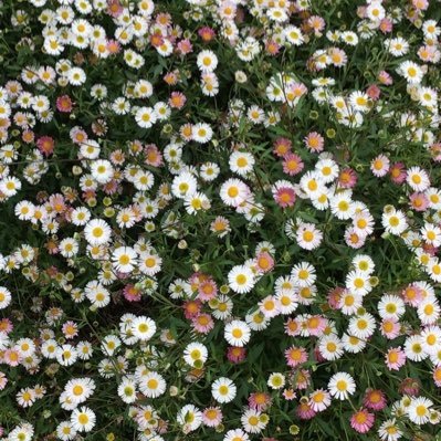 mcxixi143436's profile picture. 