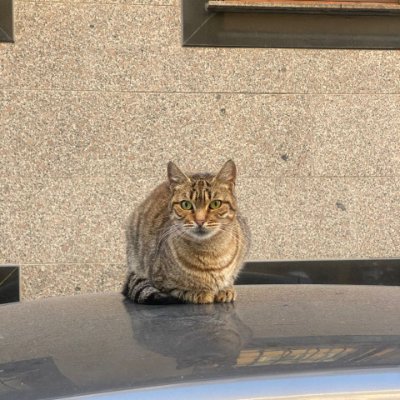 bxsolaa's profile picture. 