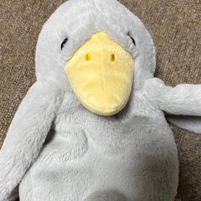 fu6295r's profile picture. 