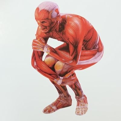 5trbHGmxic28559's profile picture. 泣き虫