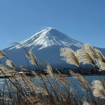 shaoyi780520's profile picture. 