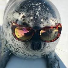 siilverious's profile picture. 