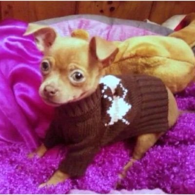 KaylaChelseaxo's profile picture. Logan Jonathan is my Son.🌞
Passion is The World’s Most Revered Pathogen.💎 #RHODY⚓️