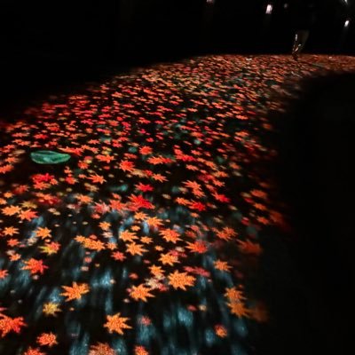 i0caaaaaats's profile picture. #猫🐈 #リボン🎀 #フリル #レース #パフェ #アフタヌーンティー #コーヒー #昭和女児 #シール #グミ #マシュマロ #もちもちホクホク好き #年齢を気にしない思い通りのファッション #ヒグチユウコ