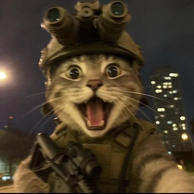 PunkyK0ng's profile picture. 🛡️💻🥋Cybersécurité - BJJ