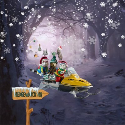 Annie F R, Phoebe🌈Teddy Henri & Kitty P🧸🇸🇬🇮🇹 Profile