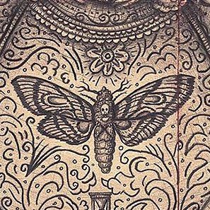 plnta1n's profile picture. The last true believer