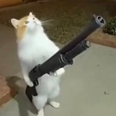 cafe_totuma's profile picture. Eres arrogante cuando intentas explicar a  personas en peligro de muerte cómo deberían comportarse