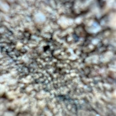 iamevankate's profile picture. I’m a wall and borders man to his boots The higher the wall the better To me security mean hostility Peace is a lie