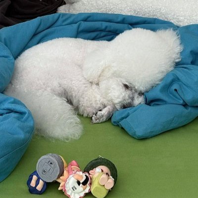 Chiiwiwa's profile picture. すべての旅は未知の世界との親密な出会いです🌍