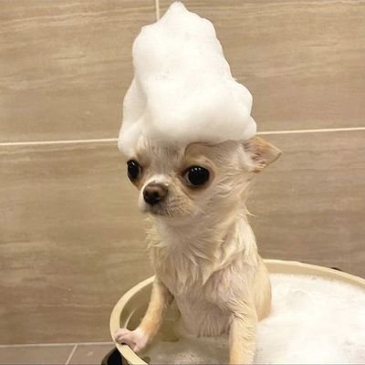 bbhhhappy's profile picture. 🩷🩷🩷🎀💗