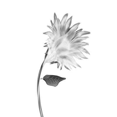 evil_sara_'s profile picture. Blood Group - (ii)|
Vivamus moriendum est🦋🦋|
Feminist🧏