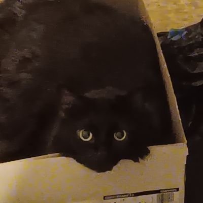 cofoppyplop's profile picture. Wouldest thou care to join me in a can of Campbell's Printer noodle soup? Be sure to specify No Ink