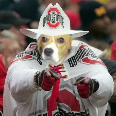 Bea_Bells's profile picture. Like walkies and sniffing garden flowers