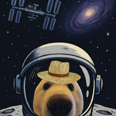 littlewhalette's profile picture. a little whale mastering the language of fish 🐠🐡🐳 $BTC since 2021