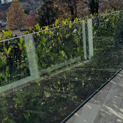 lwkeyedo's profile picture. 