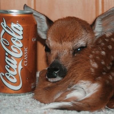 33stigmata's profile picture. what the helly...