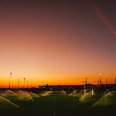 beek437's profile picture. 