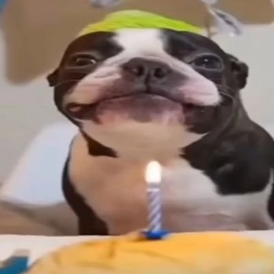 volva454872's profile picture. 