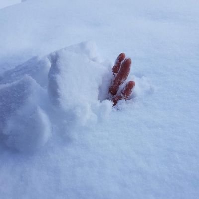 Happycurien's profile picture. Le jour où j'ai su que ma fragilité était ma force..
J'ai commencé à danser ma Vie avec une absurde désinvolture..