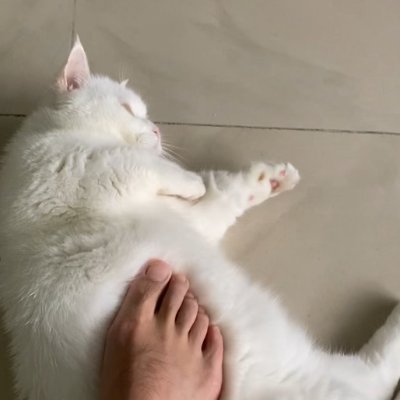 zhouwenqi's profile picture. https://t.co/ABCPz3WW1O