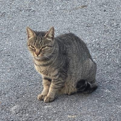 eksldpfgkals's profile picture. 