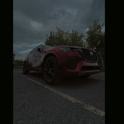 TheBossxxx69's profile picture. NO LIMIT/i dont buy/dm your telegram if u have personal pics or vids to share