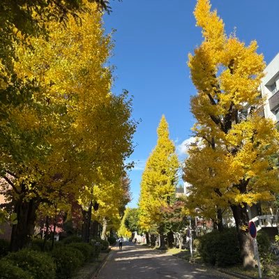 ELmJIoRboxyi0Pv's profile picture. 