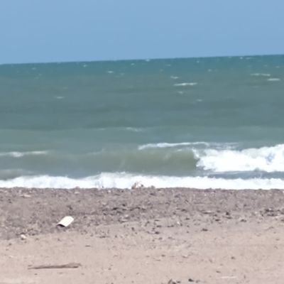 AhmedaAhme55216's profile picture. 