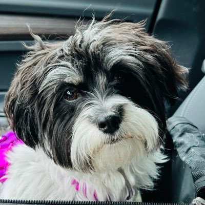 beadreamz's profile picture. educator, bead artist