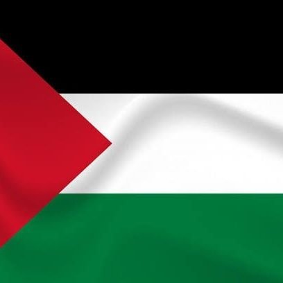 latif_owai91144's profile picture. university student