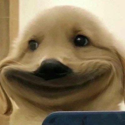 vjjsksjsj's profile picture. 