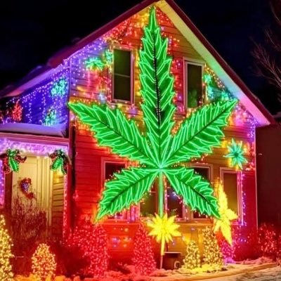 EmilyHanalucy's profile picture. I’m a cool looking girl I don’t joke with who ever I’m In love 😻 with ❤️❤️😒🇺🇸