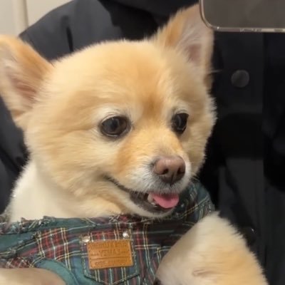 01ar2p's profile picture. h21/高一/ゲイ/178㌢🐕