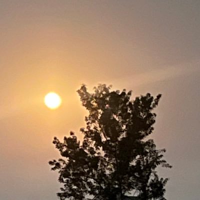 s_bashirmasih's profile picture. love is life ❤️