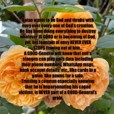 TRMrebuilding's profile picture. This is Parimala Selvaraj / Pari / The Rebuilding Mission.. n this account has uploads from my mobiles' WhatsApp msgs.. TRMpari n pariwriting R my X accts also