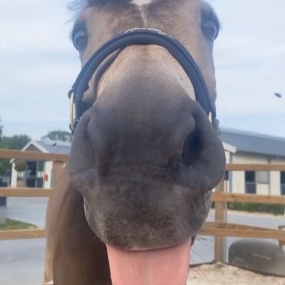 fortnitedrugs83's profile picture. mixed boy