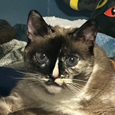 itsasecreet7's profile picture. 