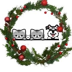2kittiesand1pup's profile picture. Two Kitties and a Pup, LLC is an online Kitchen & Pet Supply Store. Follow us for specials & new products!