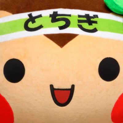 tochigicitycard's profile picture. 栃木ｼﾃｨに沼ったｺﾚｸﾀｰ j3優勝 j2昇格おめでとうございます🍰