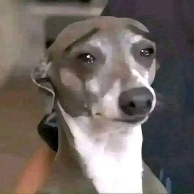 PurbaProjul's profile picture. luuuuu