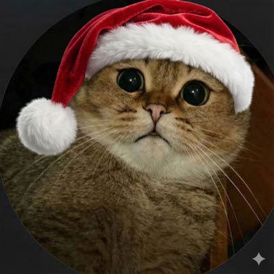 cym27s's profile picture. 21 🇱🇧 | Software dev ended up shitposting war on x :p