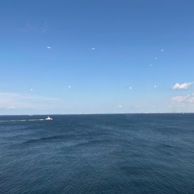 r0L7prazFD7534's profile picture. 