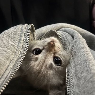 may1v5's profile picture. nostalgie